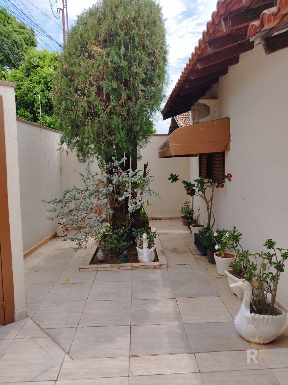 CORREDOR LATERAL — Casa em São José do Rio Preto