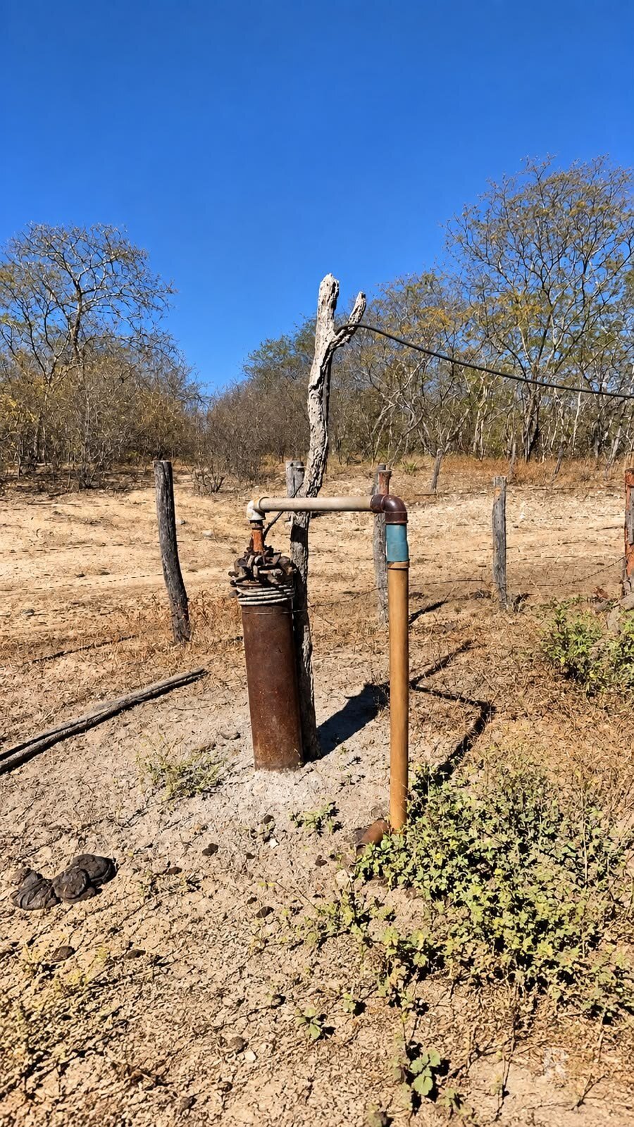 Poço da Fazenda Curimatá, em Barra – BA — Fazenda em Barra